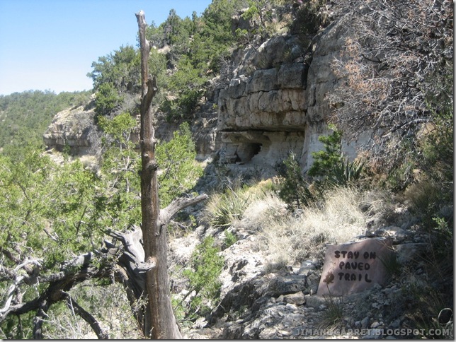 2009-04-24 AZ 04