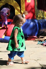 IMG_8073