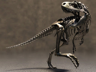 T-Rex Wallpapers