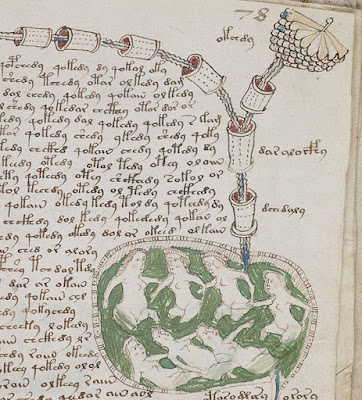 Manuskrip Voynich 2