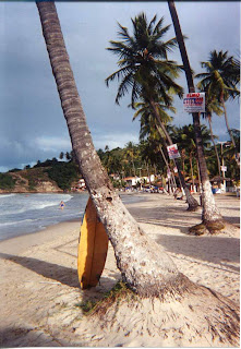 Praia de Gaibu