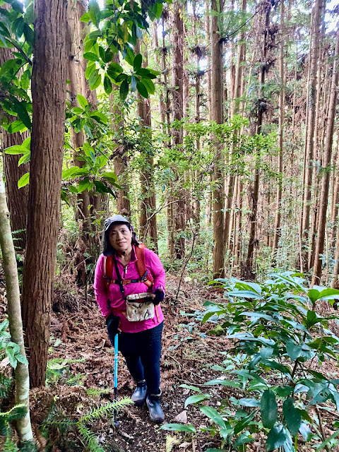 往開高山南峰