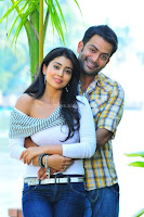 Shriya, saran, and, prithviraj, in, pokiriraja