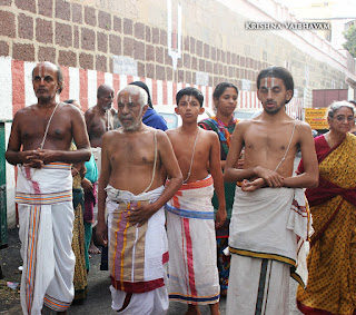 Sri Theliya Singar,Avani, Swathi ,Parthasarathy Perumal Temple,Purappadu,2016, Video, Divya Prabhandam,Sri Parthasarathy Perumal, Triplicane,Thiruvallikeni,Utsavam,