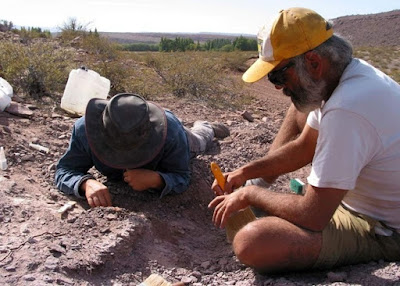 Fosil Spesies Baru Dinosaurus Ditemukan Di Argentina Fosil Spesies Baru Dinosaurus Ditemukan Di Argentina