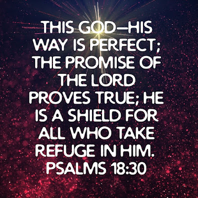 Awesome Catholic Bible Verses Of Promises Psalm 18:30