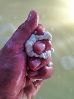 tome de savoie au fenouil, la laiterie de paris, fabrication tome, faire du fromage, blog fromage, blog fromage maison, tour du monde du fromage, voyage fromage, fromage paris, gaec du vent des cîmes