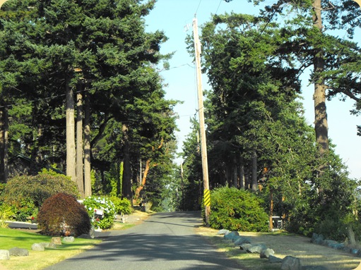 Bay View & Edison, WA 026