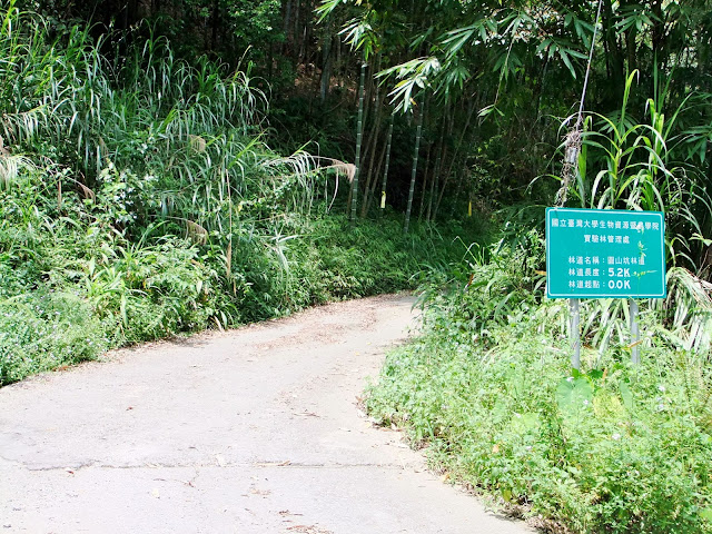 圓山坑林道