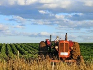 Imu su terreni agricoli, Latronico: Governo rimedi a tassazione ingiusta