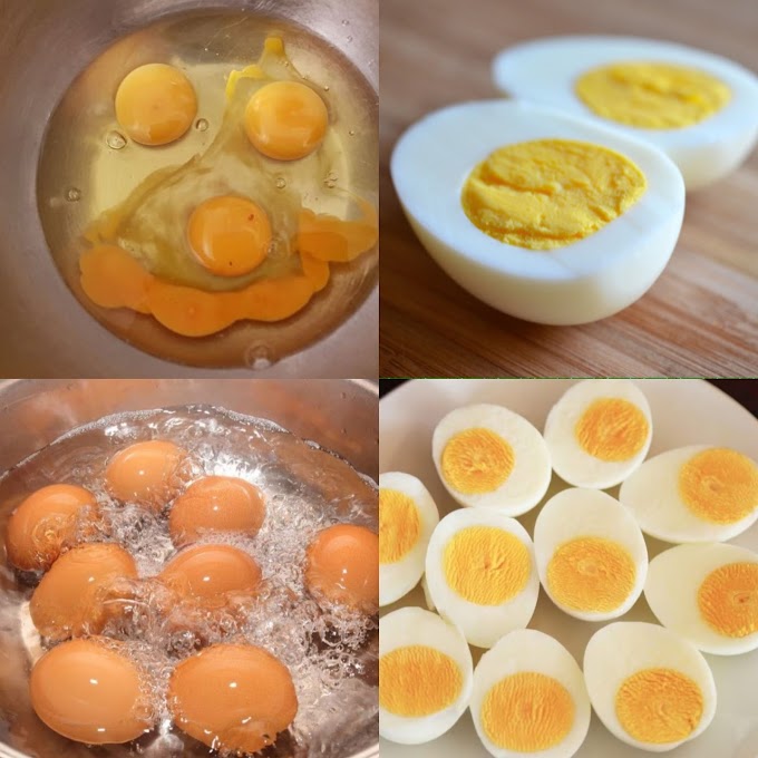 Discover the Magic of Cooking Eggs