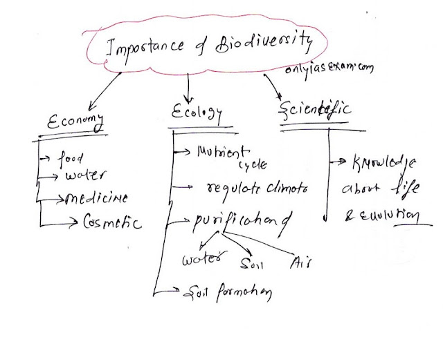 importance of biodiversity