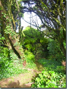P1200198