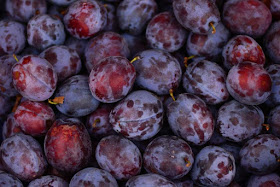 damson-plum-recipes-fresh-plums