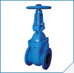  Gate Valve Rising Stem Tozen