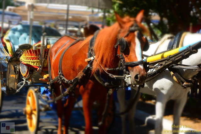 Burgazada, Burgaz Adası, Burgaz Island, Istanbul