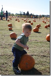 October 2010 035