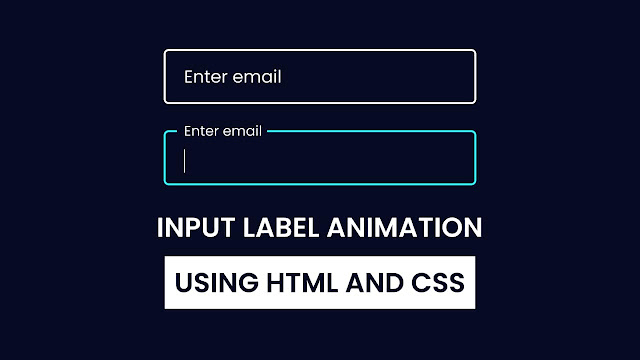 Input Label Animation HTML & CSS