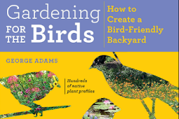 Grow A Backyard Garden Fоr Thе Birds