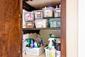 two very neat cabinet shelves, with cleaning supplies and medicines