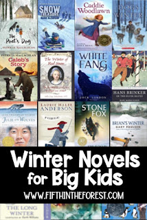 Pin image for 15 Winter Themed Novels for Upper Elementary