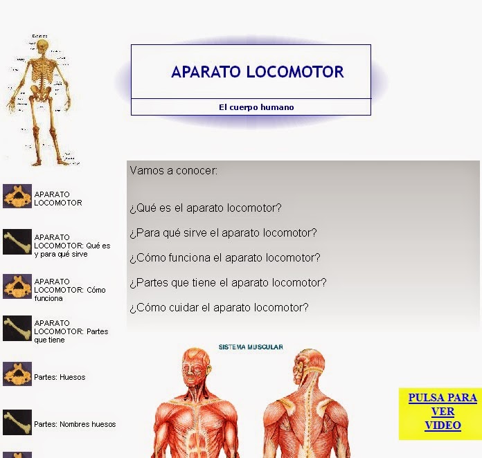 http://www.educantabria.es/docs/Digitales/Primaria/Cono_3_ciclo/CONTENIDOS/CUERPO%20HUMANO/DEFINITIVO%20LOCOMOTOR/Publicar/index.html