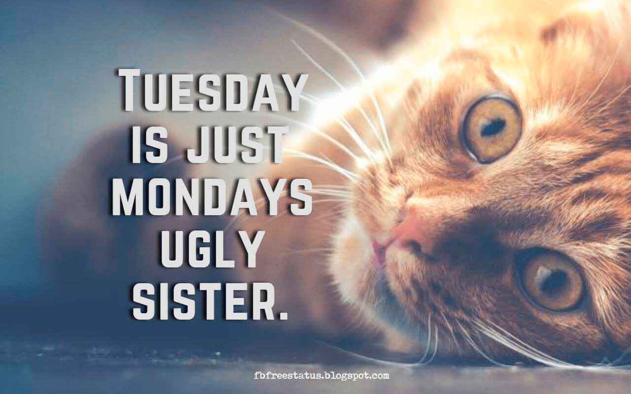 Tuesday is just Mondays ugly sister.