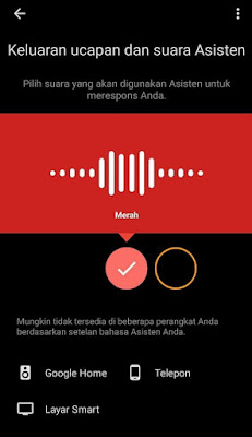 pilih suara laki-laki/perempuan asisten google