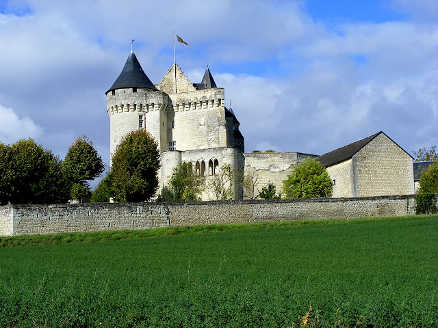 Chateau de la Motte-Usseau, Vienne, France. Photo by Loire Valley Time Travel.