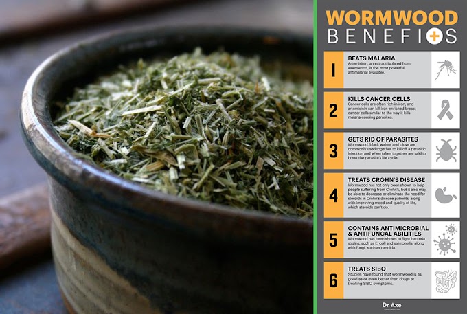 Wormwood Herb in Alternative medicine