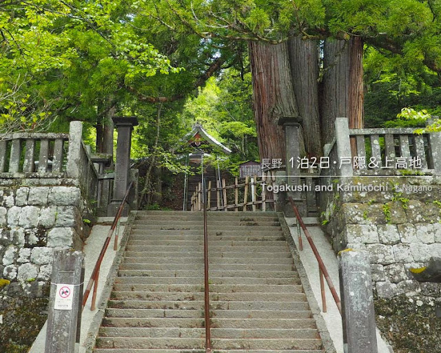 戸隠神社 中社