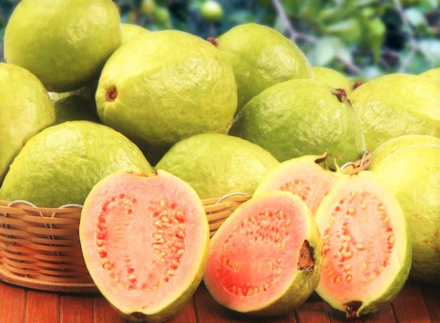 guava