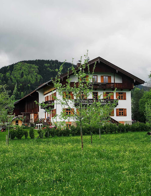 Hearty avocado French toast from the oven with a small asparagus salad. And a short detour to the postcard idyll on the Tegernsee