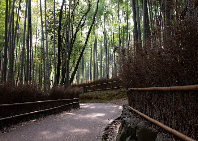 Arashiyama Bamboo Grove