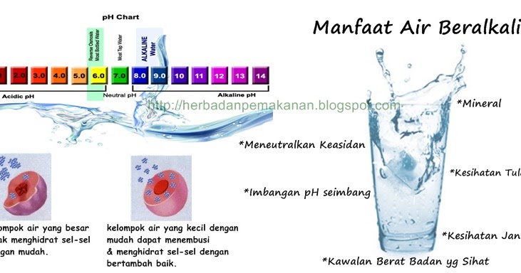 Rawatan Herba Dan Pemakanan: Cara menghidratkan sel tubuh 