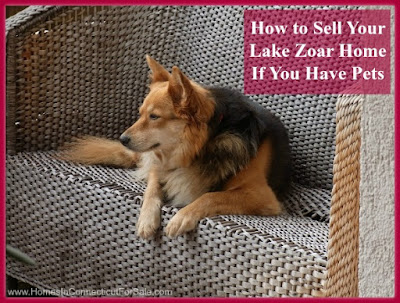 Make your Lake Zoar waterfront home selling process smooth even if you own a pet with these 5 helpful tips!