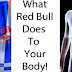 How Your Body Reacts To Drinking Red Bull (You Will Never Drink This Again After Reading This)