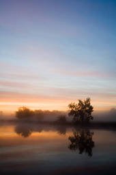 misty-thames-at-sunrise