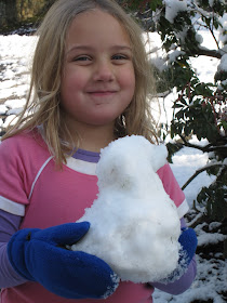 duck made out of snow