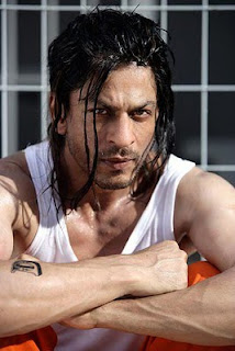 Shahrukh khan don 2 images