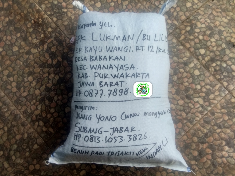 Benih Pesanan Pak LUKMAN Purwakarta, Jabar. (Setelah packing)