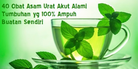 40 Obat Asam Urat Akut Alami Tumbuhan yg 100% Ampuh Buatan Sendiri