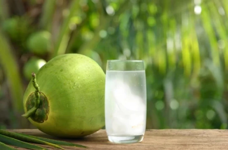 Atasi Jerawat hingga Tekanan Darah Tinggi, Cek Manfaat Minum Air Kelapa Lainnya