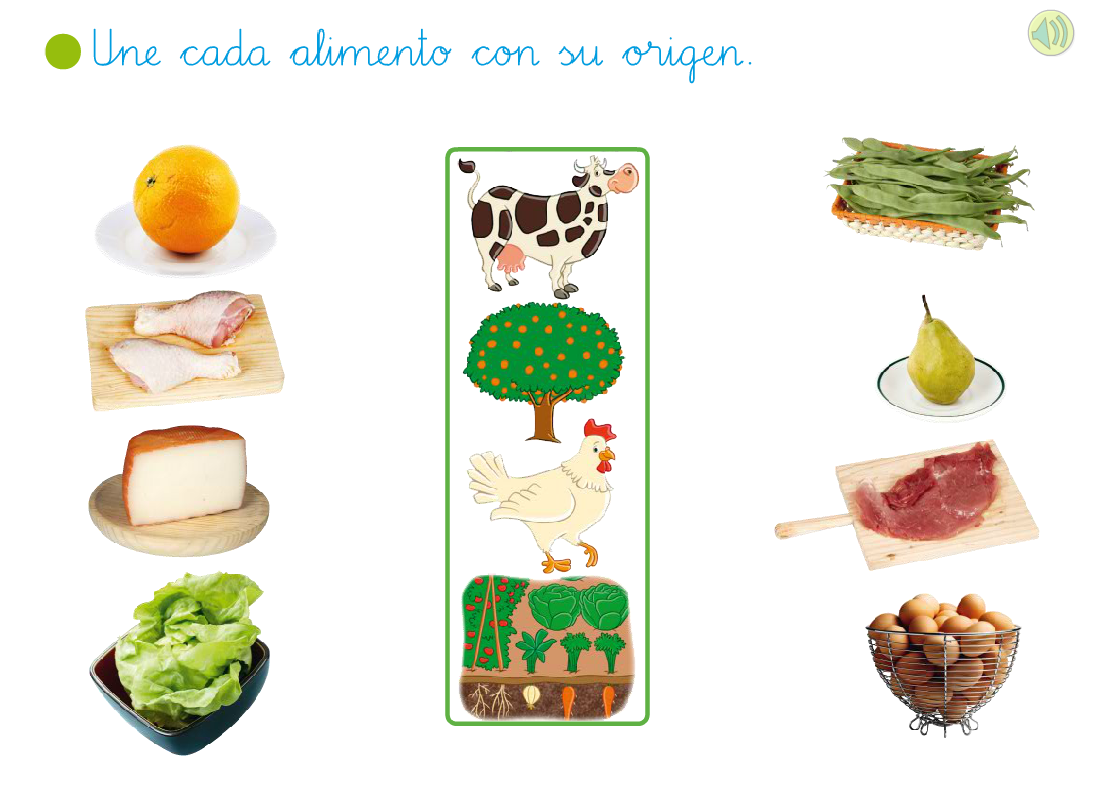 http://primerodecarlos.com/primerodecarlos.blogspot.com/octubre/origen_alimentos.swf