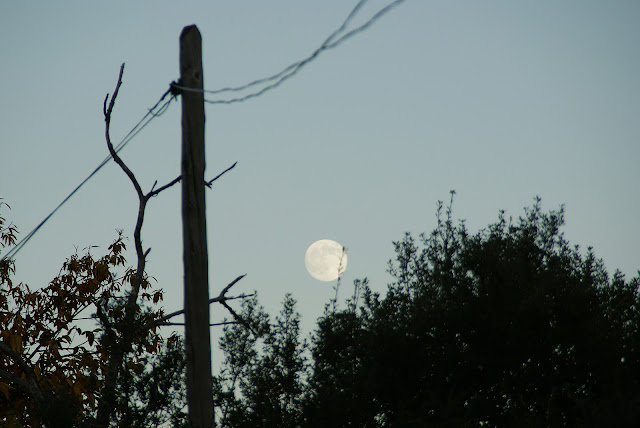 noche-en-fuenteheridos-sierra-de-Huelva