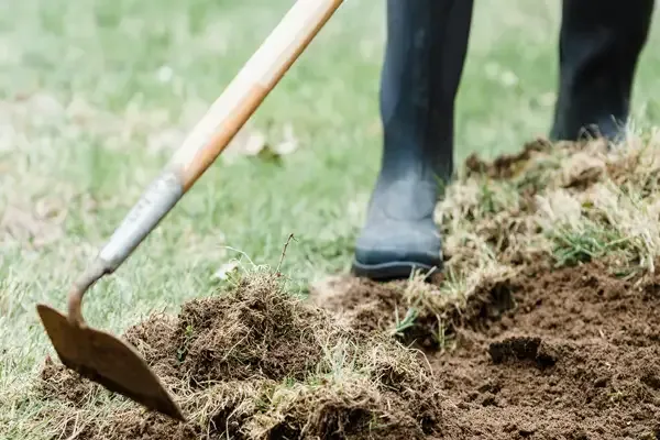 Wheelbarrow