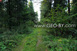 The highest point in Belarus