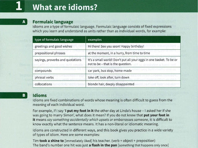 English Idioms in Use: Advanced PDF
