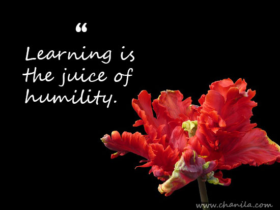 Quotes on humility, humility quotes, humanity quotes, honesty quotes,hope quotes, best humility quotes, quotes about humility, future quotes, best teaching quotes, life quotes, best quotes, motivational quotes, amazing humility quotes, Amazing quotes, amazing teaching quotes, inspirational quotes, quotes, all humility quotes, Deep quotes, deep humility quotes, emotional quotes, best emotional quotes.encouraging quotes, Inspirational quotes. Freedom quotes, future quotes, focus quotes, life changing Quotes, life quotes, quotes to get success. Love quotes, relationship quotes,famous quotes, Friendship quotes. , Funny quotes,good quotes, gratitude quotes,