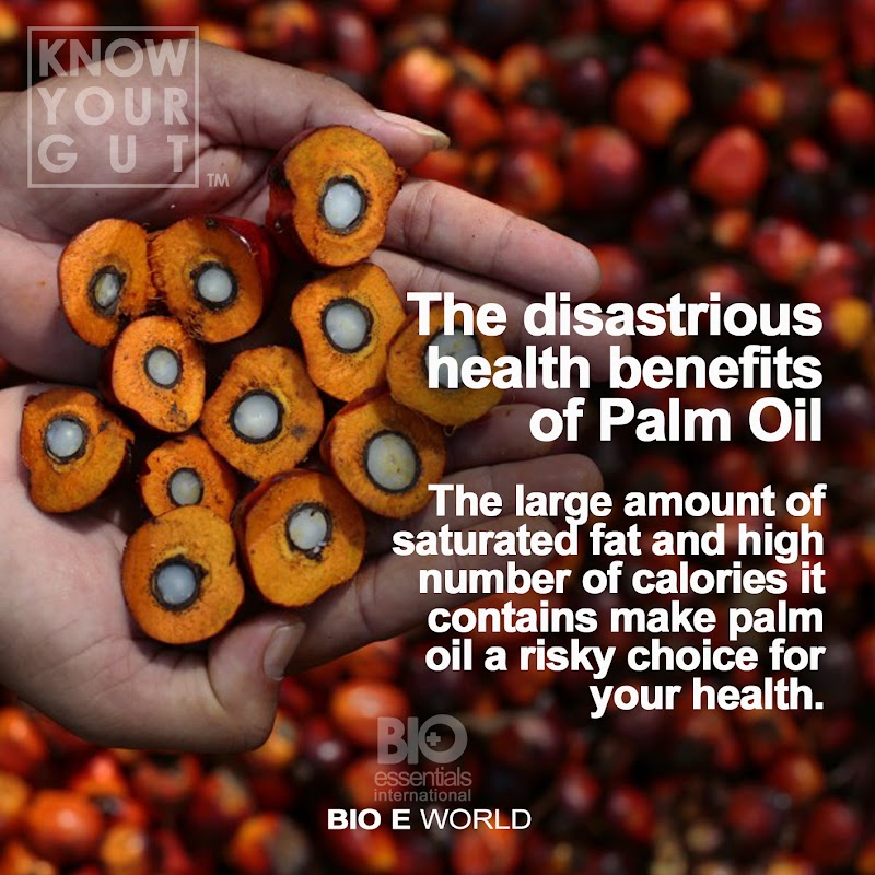 Inspirasi Terkini Palm Oil Health
